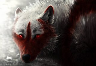 Scary Wolf Wallpaper