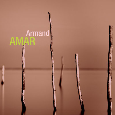 ArmandAmar-Retrospective