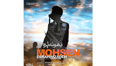 Mohsen-Ebrahimzadeh-Bahoone-Pore