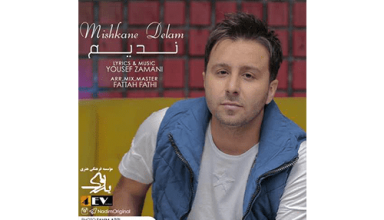 Nadim-Mishkane-Delam