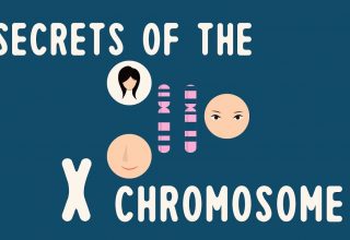 دانستنی‌ها: اسرار کروموزوم X