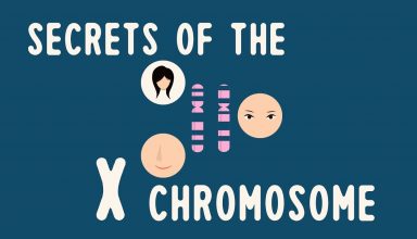 دانستنی‌ها: اسرار کروموزوم X