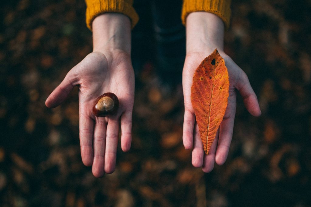 Woman holding her hands out holding a leaf and a conker in the fall