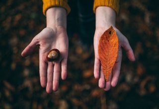 Woman holding her hands out holding a leaf and a conker in the fall