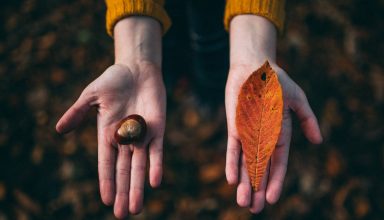 Woman holding her hands out holding a leaf and a conker in the fall