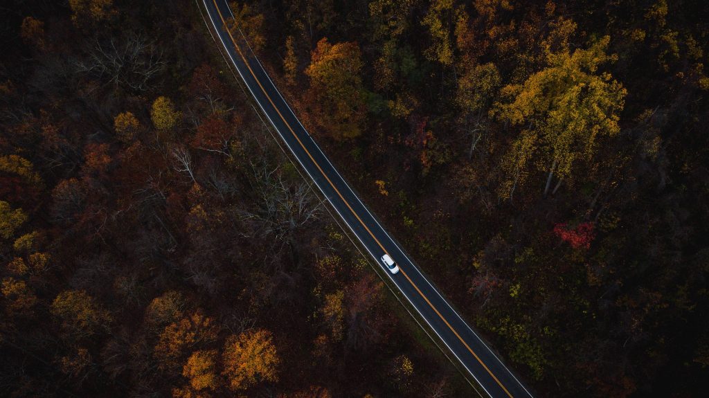 Auto Road View From Above Trees Wallpaper