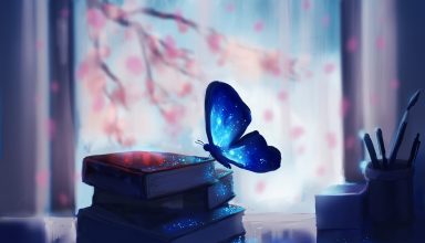 Butterfly Colorful Glowing Fantasy Artwork Books Wallpaper