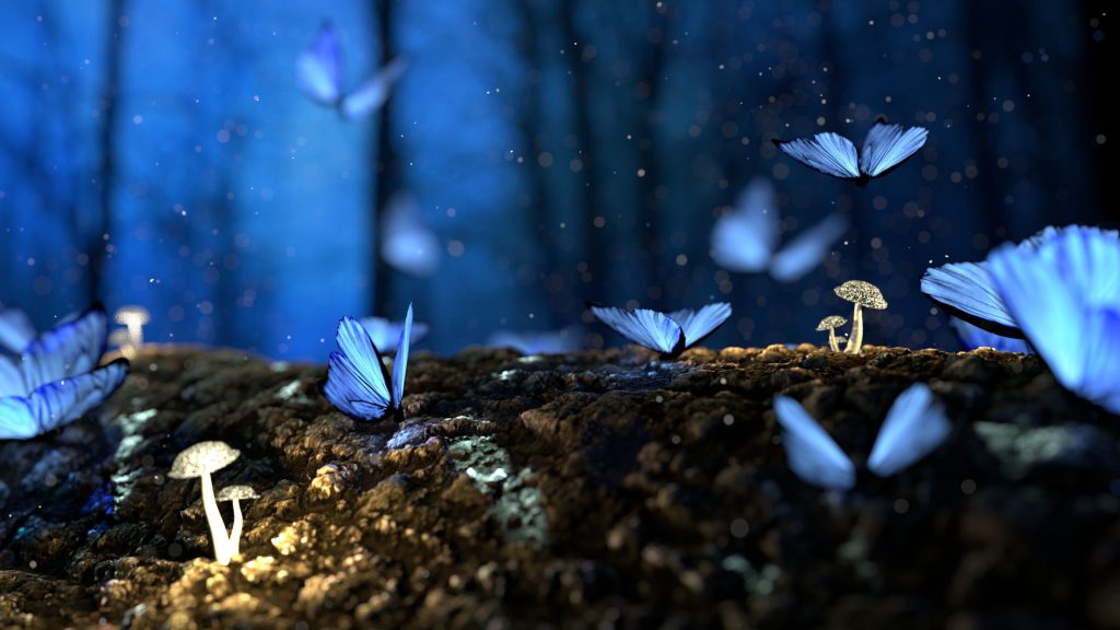 Butterfly Mushrooms Forest Fantasy Wallpaper