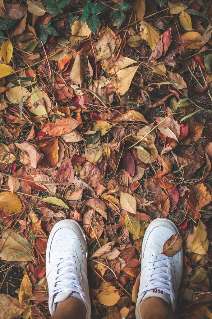 Feet Sneakers Foliage Autumn Wallpaper