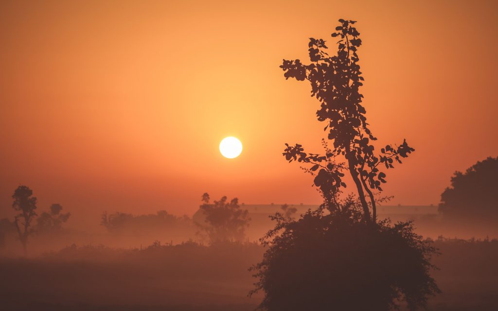 Foggy Sunrise 4k Wallpaper