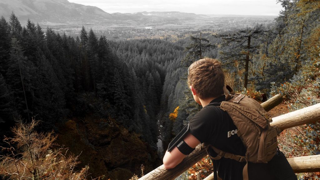 Man Looking Over Green Leaf Pine Trees and Creek