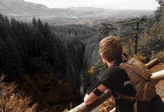 Man Looking Over Green Leaf Pine Trees and Creek