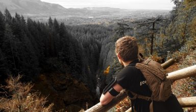 Man Looking Over Green Leaf Pine Trees and Creek