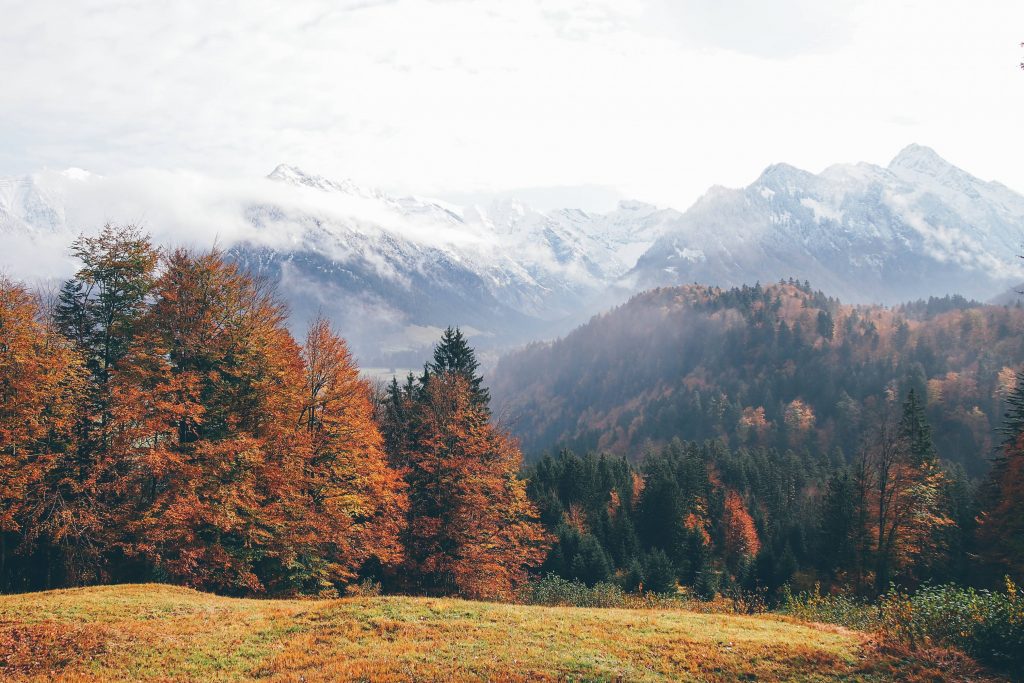 Oberstdorf Germany Mountains Autumn Forest 4k Wallpaper