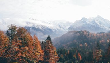 Oberstdorf Germany Mountains Autumn Forest 4k Wallpaper