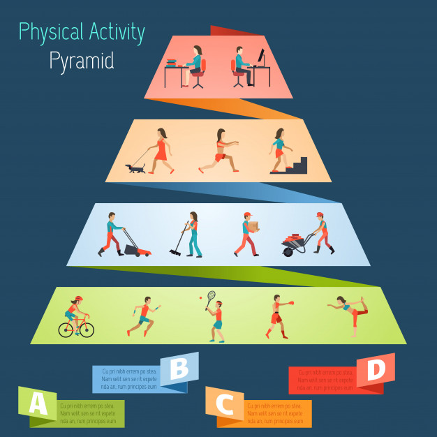 دانلود وکتور Physical Activity Pyramid Infographics