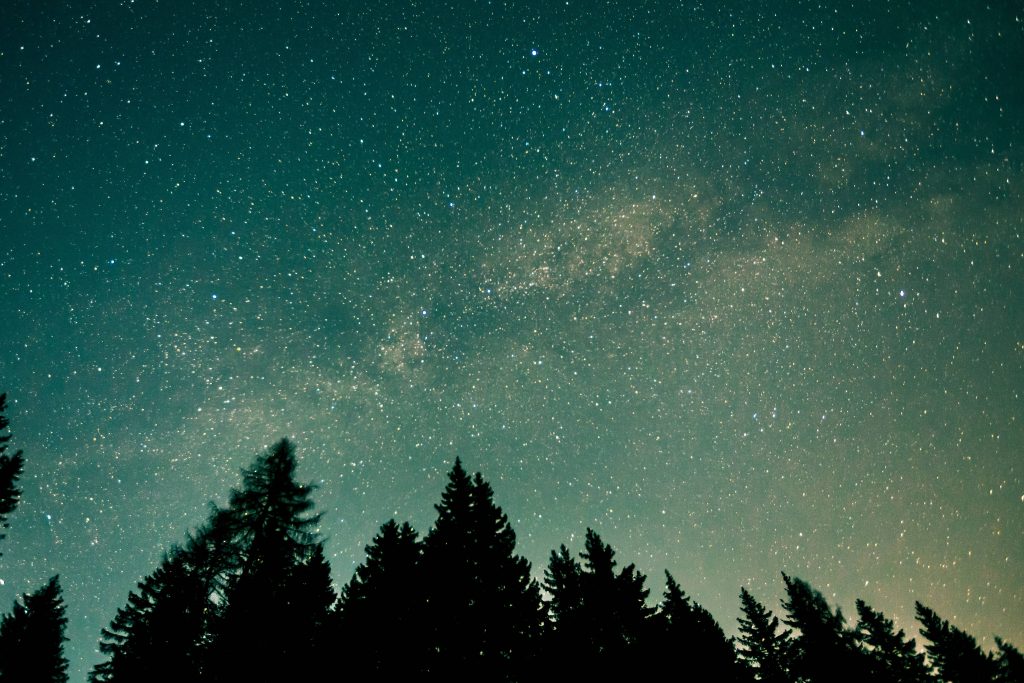 Trees Starry Sky Stars Space Wallpaper