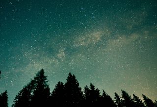 Trees Starry Sky Stars Space Wallpaper