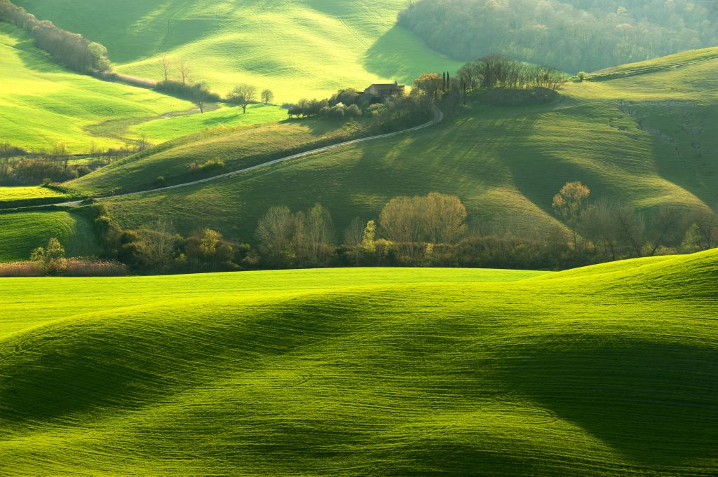 Tuscany Italy Hills Green Field 8k Wallpaper