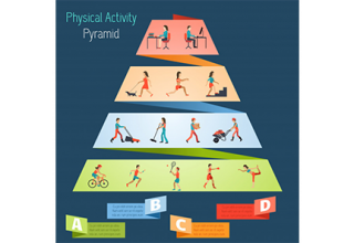 دانلود وکتور Physical Activity Pyramid Infographics