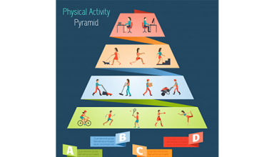 دانلود وکتور Physical Activity Pyramid Infographics