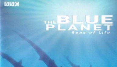 دانلود موسیقی متن سریال The Blue Planet – توسط George Fenton