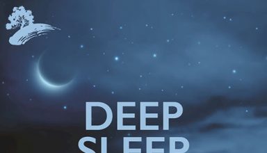 دانلود آلبوم موسیقی Deep Sleep توسط David Arkenstone