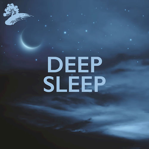 دانلود آلبوم موسیقی Deep Sleep توسط David Arkenstone