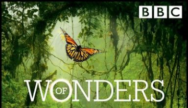 دانلود موسیقی متن سریال Wonders of Life