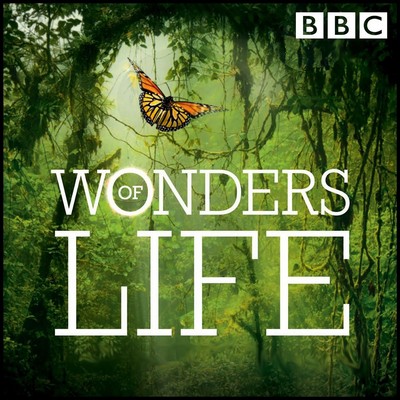 دانلود موسیقی متن سریال Wonders of Life