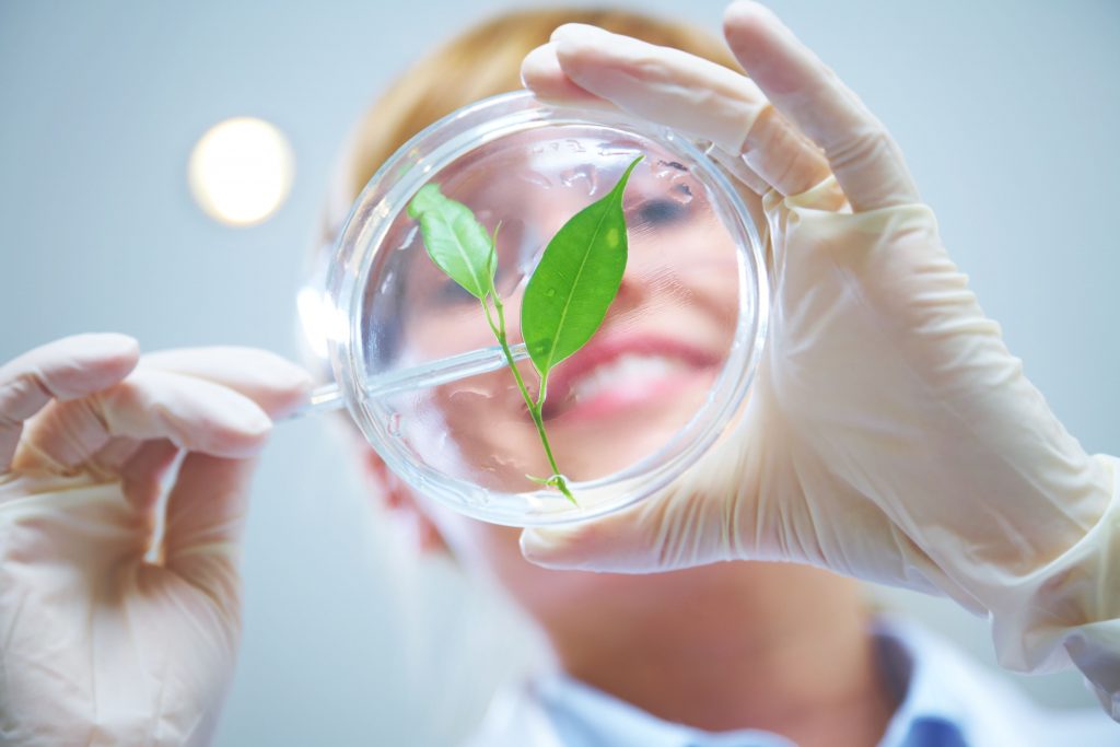 Woman scientist holding a test tube with plant