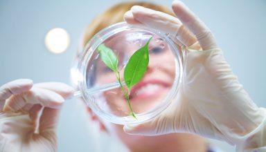 Woman scientist holding a test tube with plant