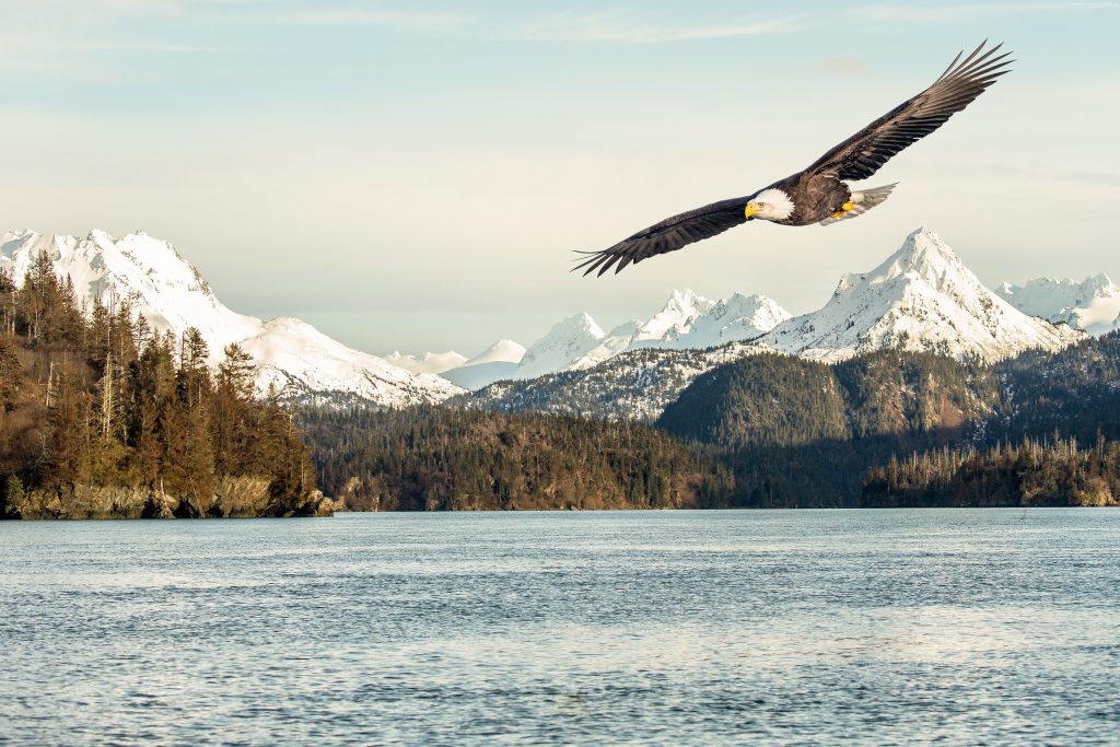 Eagle Mountains Lake Wallpaper