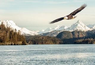 Eagle Mountains Lake Wallpaper