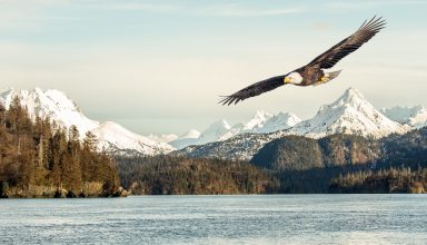 Eagle Mountains Lake Wallpaper