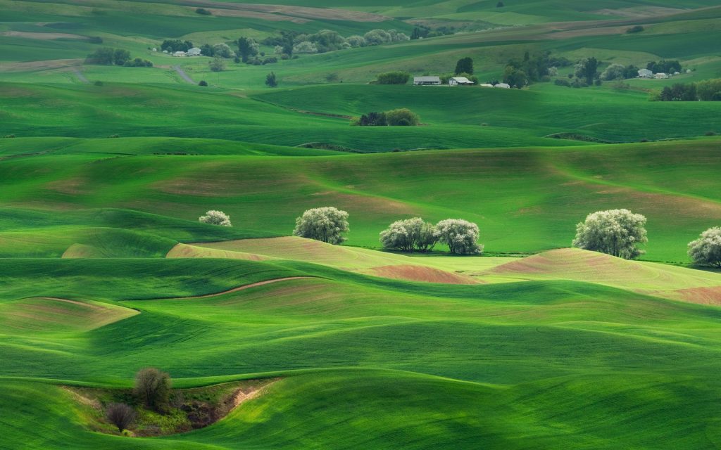 Grassland Landscape Huawei Mate 10 Stock Wallpaper