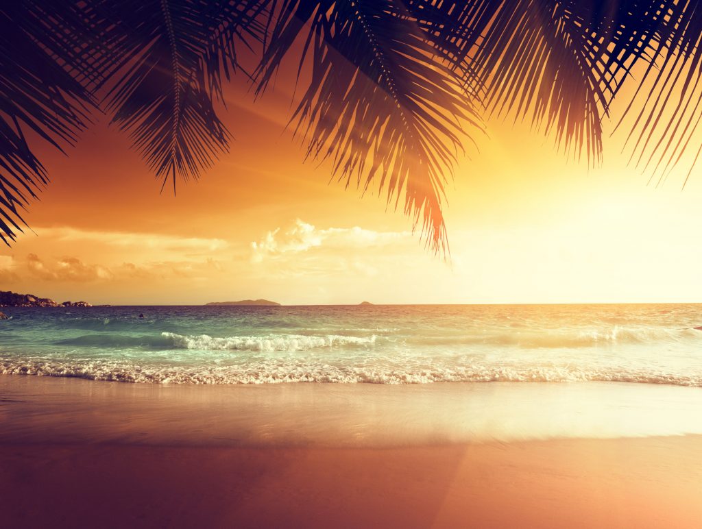 Landscape Beach Tropical Sun Wallpaper