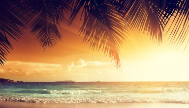 Landscape Beach Tropical Sun Wallpaper