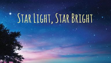 دانلود آلبوم موسیقی Star Light, Star Bright توسط Greg Maroney