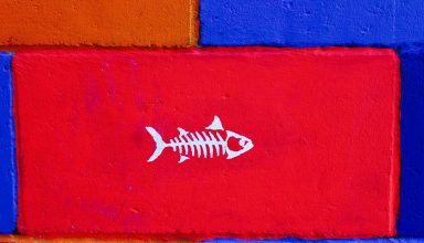 Fish Art Wall Paint Wallpaper