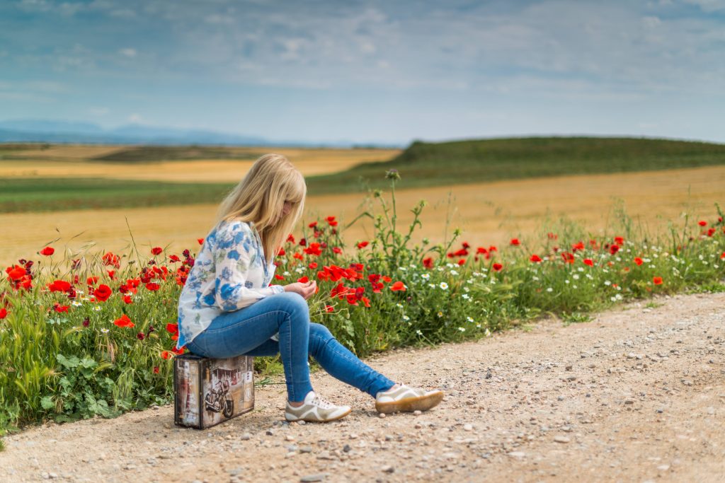 Girl Near Red Petal Flowers at Daytime Wallpaper