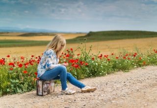 Girl Near Red Petal Flowers at Daytime Wallpaper