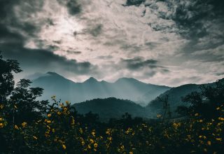 Mountains Fog Flowers Clouds Wallpaper