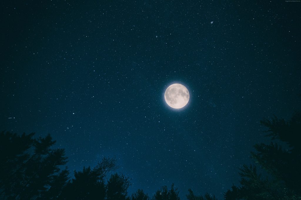 Night Sky Moon Stars Forest Wallpaper