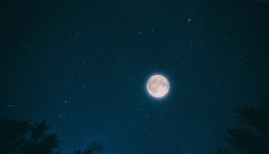 Night Sky Moon Stars Forest Wallpaper