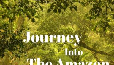 دانلود موسیقی متن فیلم Journey Into The Amazon