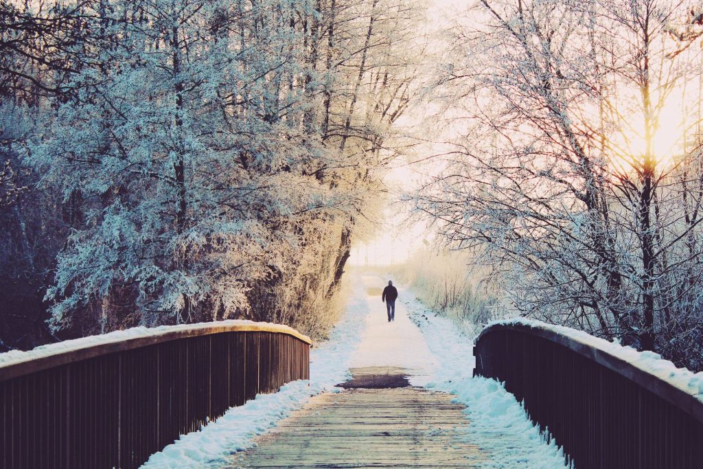 Alone Branches Bridge Wallpaper