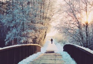 Alone Branches Bridge Wallpaper