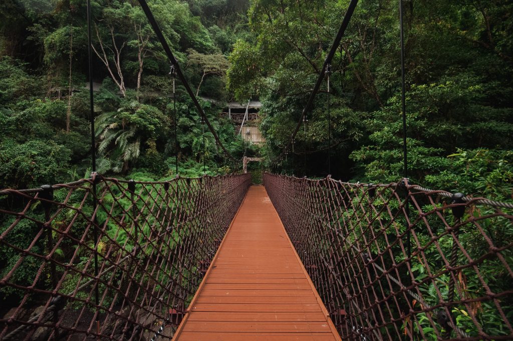 Bridge Trees Hanging Weaving Wallpaper