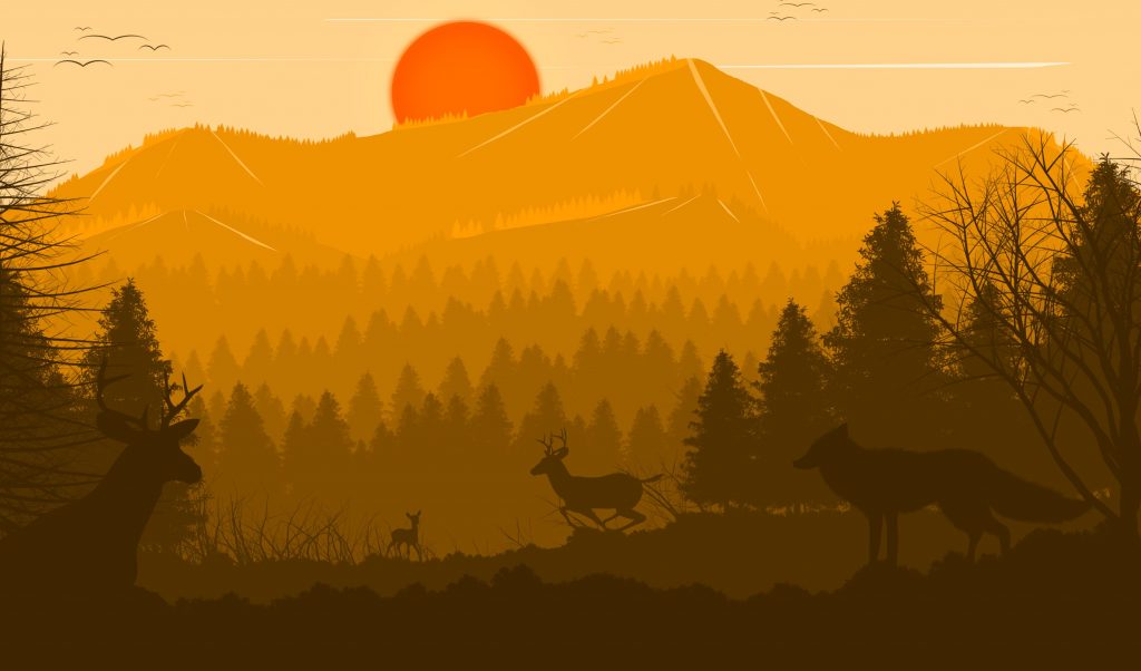 Deer Forest Fox Sun Red Trees Birds Wallpaper